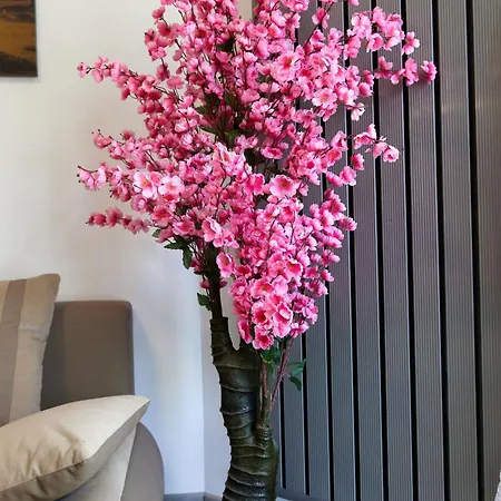 Apartment Malibu By Alz